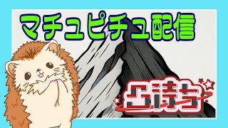 マチュピチュ配信(凸待ち配信)だよ🏔️