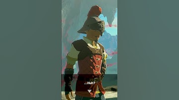 Checking on NPCs from BOTW in TOTK Part 8! #shorts