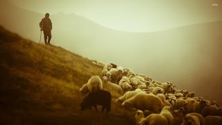 تفسير رؤية المواشي والراعي في المنام