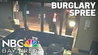 At least 11 businesses were burglarized in Danville