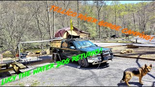 Tellico River Gorge - Dispersed Camping, Cheap Camping on the River!