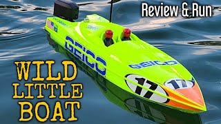 Crazy Fast 17" Power Boat Racer Self-Rightning Brushless Rc Boat