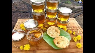 Dandelion Honey ~ From Start To Finish