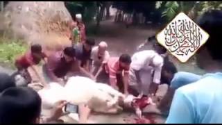 Обложка То Худо чонатро нагирад намемири Субхоналлох Скачать То Худо чонатро нагирад намемири Субхоналлох