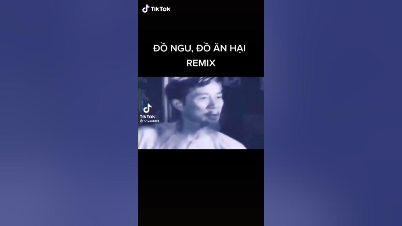Đồ ngu, đồ ăn hại. - YouTube