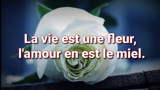 10 #citations sur l'amour, mots d'amour touchant du cœur