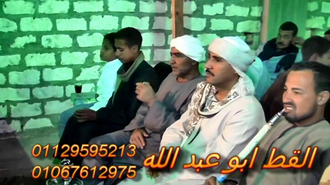 القط ابوعبدالله موال ياما جرالك يا عين من القرايب فرحة رامى الهوارى مركز دشنا 2019 انتاج المهندس