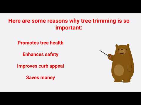 JSR Tree Trimming Service in The Woodlands, TX