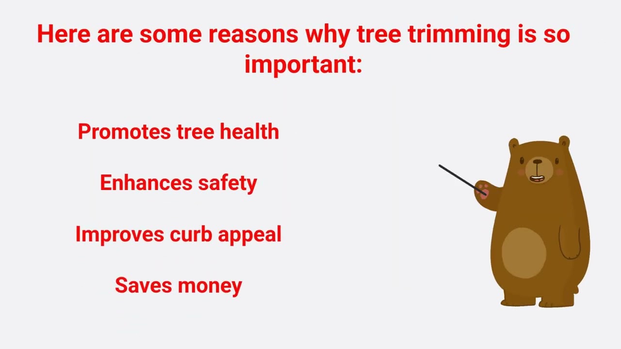 JSR Tree Trimming Service in The Woodlands, TX