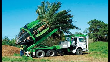 Awesome machine moving and transplanting tree with a tree spade..