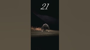 Day 63 of doing knuckle pushups #knucklepushups #challengeshorts #pushupsdaily #shortsfeed #pushups