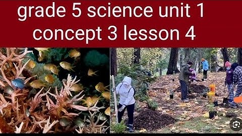 Grade 5 science unit 1 concept 2 lesson 4 Marwa Elaraby 2026
