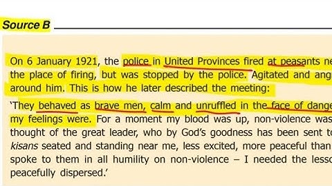 Class 10 History Chapter 2 Nationalism in India | Source B  On 6 january 1921