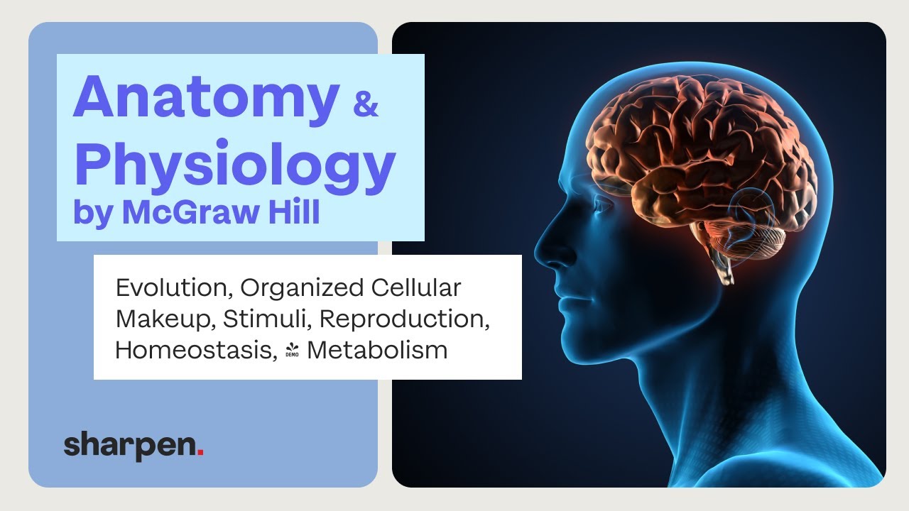 Gross Anatomy Regional Anatomy Systemic Anatomy Neurophysiology Gross anatomy regional anatomy systemic anatomy neurophysiology