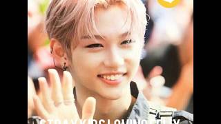 💙stray kids loving felix💙