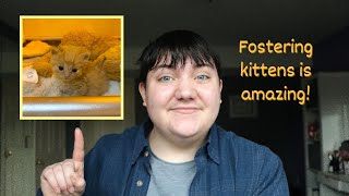 Why I Foster Kittens (And Why You Should Too) by The Kitten Choreographer 231 views 1 year ago 4 minutes, 1 second