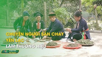 Chuyện người Sán Chay Yên Lạc làm thương hiệu | Thái Nguyên TV
