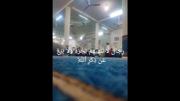 عبد الرحمن مسعد سورة النور ❤️ اللهم اغفر لي و لكل من قال آمين 🤲 #قران #لايك #اكسبلور #راحة_نفسية