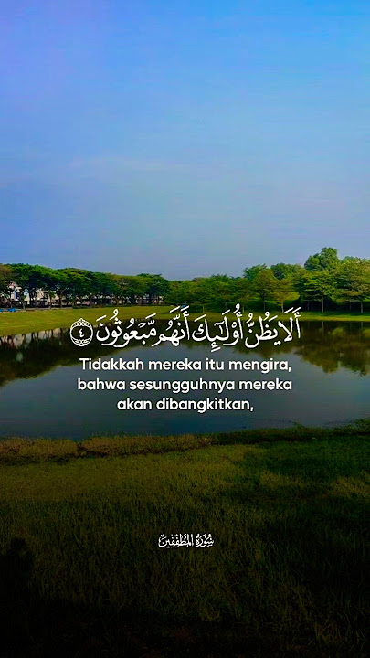 #ngaji #ngajifromhome #ngajirutin #storywa #murottal #murottalquran #fypyoutube #shortvideo #storywa