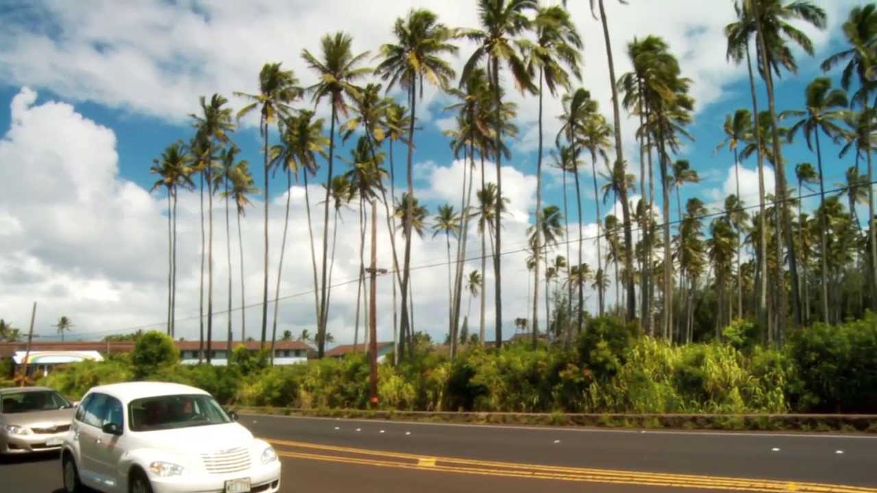 Royal Coconut Coast Kauai YouTube