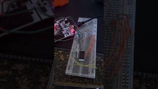 Famous Input Output Part 2 Wealth