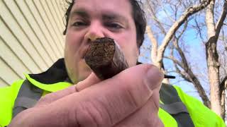 Cigar Check In 1926 Part 2