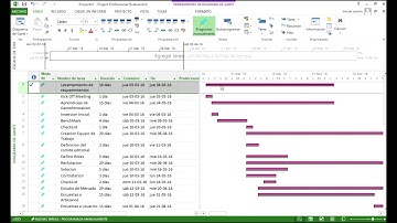 Project - Avance de tareas y exportación a Excel