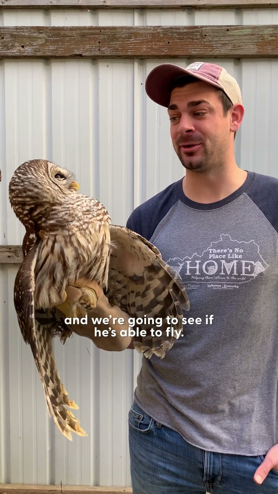 Watch This Owl Re-Learn To Fly | The Dodo