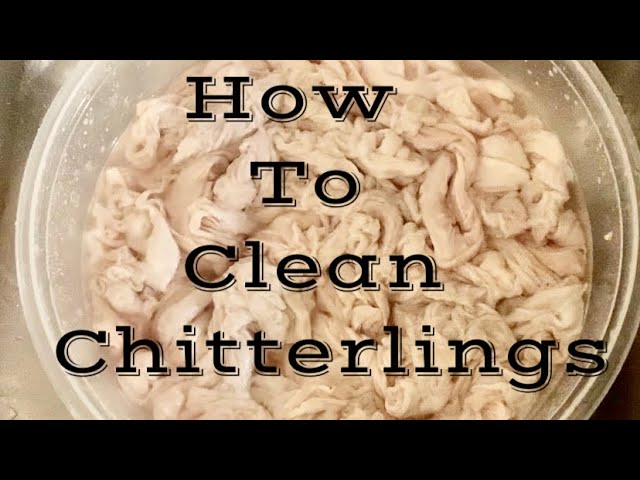 Chitterlings,Clean Chitlins,Hand cleaned Chitlin, Gourmet Chitterlings,Hog  Maws