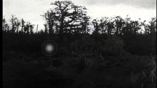 US Army 42nd Division troops advancing across open terrain during World War I in ...HD Stock Footage