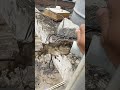 Watertankcleaning Cleaningservice Amazing Home Trendingshorts Safewater Gangavathisurrounding Watertankcleaning Cleaningservice Amazing Home Trendingshorts Safewater Gangavathisurrounding