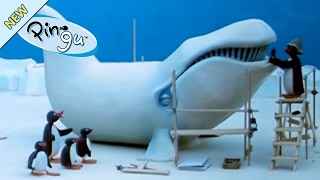 Pingu And The School Trip - Pingu Official Channel