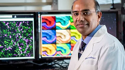 Dr. Gopal  Thinakaran pursues ways to cure or slow Alzheimer's Disease