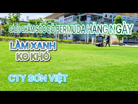 Video: Kiểm soát Cỏ Bermuda - Cách Thoát khỏi Cỏ Bermuda