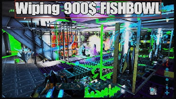 Wiping 900$ Fishbowl | ARK SMALL TRIBES PS5