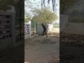 one short video #cricket