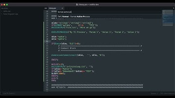 Pelle TM1 -- Format Turbo Integrator Process