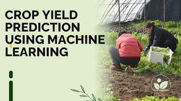 Crop Yield Prediction using Machine Learning | AI in Agriculture
