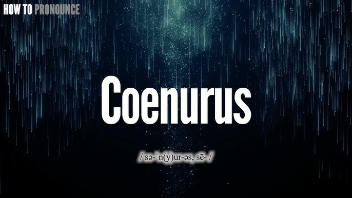 Coenurus Pronunciation | Correctly Say 2024