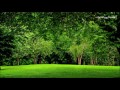 تلاوة جميلة لسورة هود بصوت القارئ ناصر باحاج ما شاء الله 
