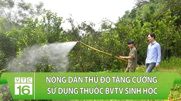 Nông dân thủ đô tăng cường sử dụng thuốc BVTV sinh học | VTC16