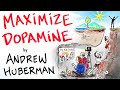 How to maximize dopamine  motivation  andrew huberman