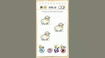 Where is the black sheep? brain test level 20