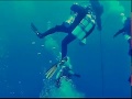 Immersione sulla Milford Haven Parte 2