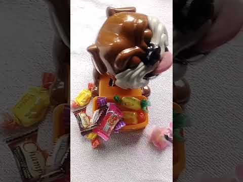 mad dog & candy #asmr#satisfying #viral #short #video