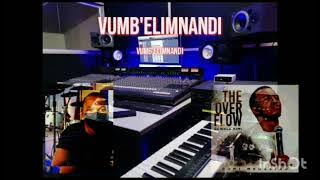 VUMB'ELIMNANDI | INSTRUMENTAL COVER | @dumimkokstadofficial4231 | SA SILOSINI | LYRIC VIDEO