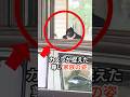 カメラが捉えた尊い家族の姿 #愛子さま #皇室 #shorts
