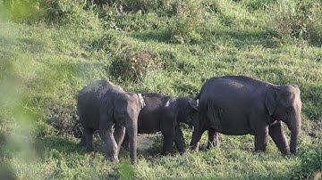 Solving the Procrastination Puzzle A Concise Guide to Strategies to Change | motivational | AR FM