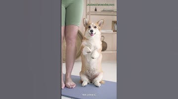 Navigating toxic positivity by Dr Jacksan Fernandes