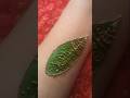 ✨Vani✨ name mehandi tattoo design #viralvideo #trending #art #youtubeshorts #mehndi #henna #tattoo 🤗